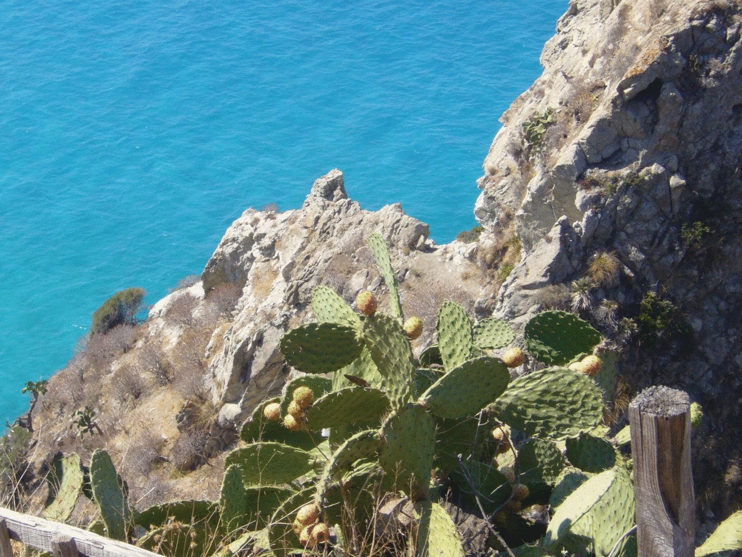 Hotel Virgilio Tropea Extérieur photo